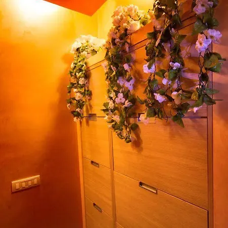 Apartmán Magenta *